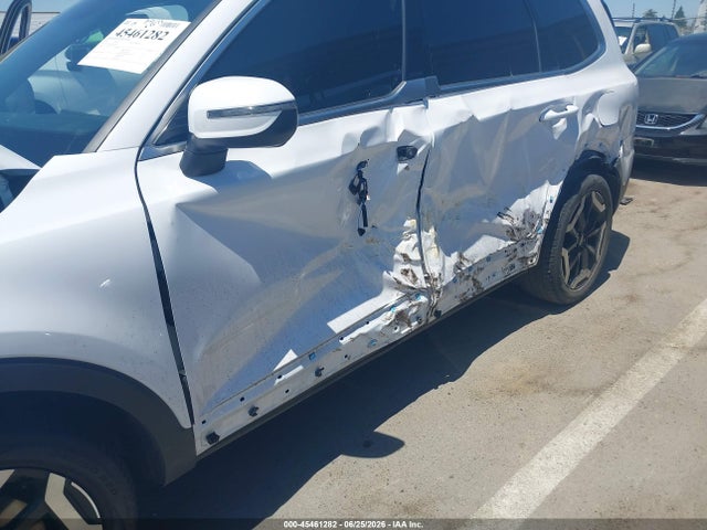 KIA Telluride Ex 2024 5XYP34GC4RG530797 Image 6