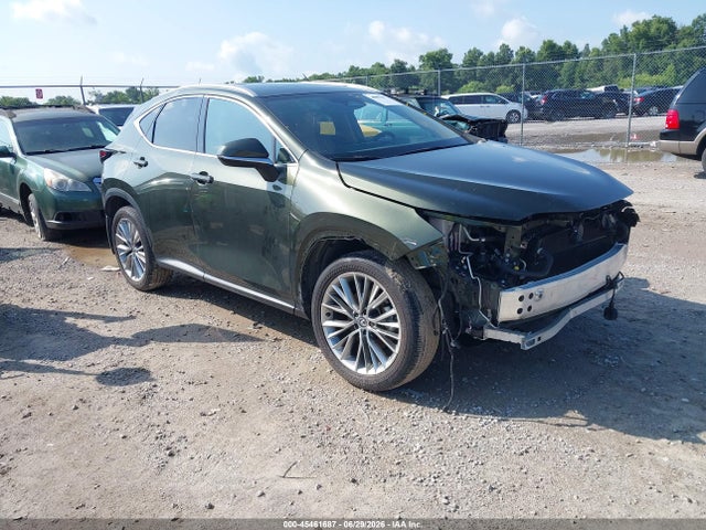 Продажа на аукционе авто 2025 Lexus Nx 350h Premium, vin: 2T2GKCEZ9SC048263, номер лота: 45461687