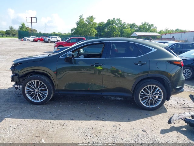 Lexus Nx 350h Premium 2025 2T2GKCEZ9SC048263 Image 15