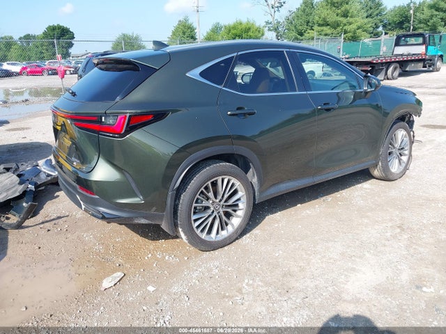 Lexus Nx 350h Premium 2025 2T2GKCEZ9SC048263 Image 4