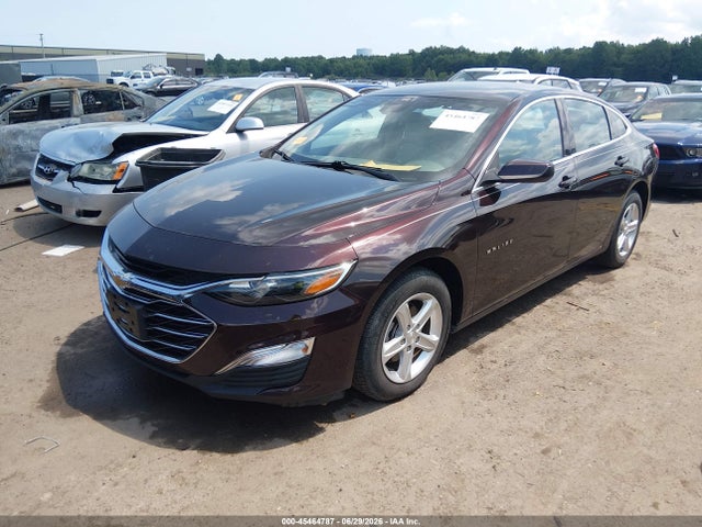 2020 Chevrolet Malibu Fwd 1fl მანქანა იყიდება აუქციონზე, vin: 1G1ZC5ST4LF106531, აუქციონის ნომერი: 45464787