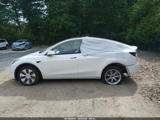45466441 :رقم المزاد ، 7SAYGDEEXPA098525 vin ، 2023 Tesla Model Y Awd/long Range Dual Motor All-wheel Drive مزاد بيع