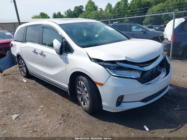 Продажа на аукционе авто 2024 Honda Odyssey Ex-l, vin: 5FNRL6H68RB067180, номер лота: 45473134