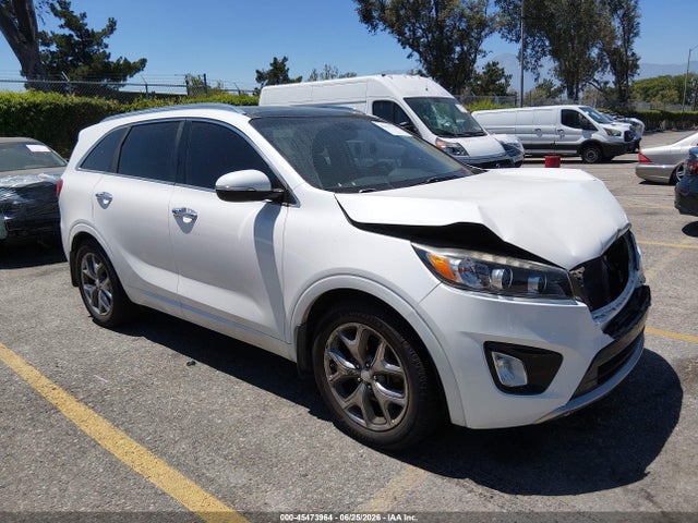 2016 5XYPK4A58GG117243 main image