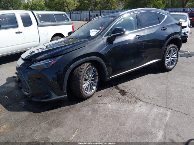 Продажа на аукционе авто 2022 Lexus Nx 350h Luxury, vin: JTJHKCEZ4N5004095, номер лота: 45474339
