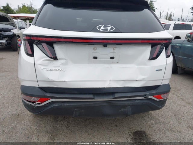 Hyundai TUCSON SEL 2023 5NMJBCAE9PH183533 Image 6
