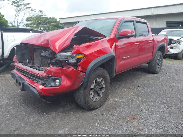 45475063 :رقم المزاد ، 3TYCZ5AN5PT116591 vin ، 2023 Toyota Tacoma Sr V6/sr5 V6/trail Edition/trd Off Road/trd Pro/trd Sport مزاد بيع