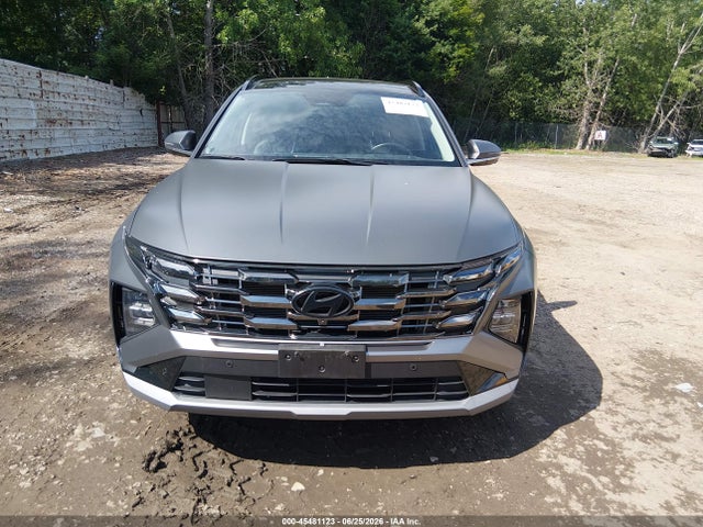 Продажа на аукционе авто 2025 Hyundai Tucson Limited, vin: 5NMJECDE2SH575295, номер лота: 45481123