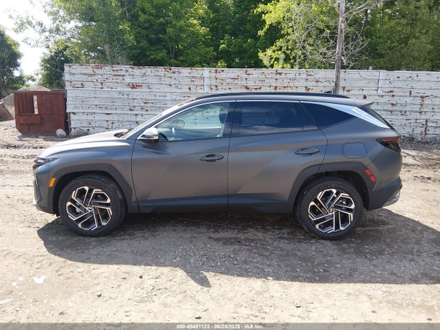 Продажа на аукционе авто 2025 Hyundai Tucson Limited, vin: 5NMJECDE2SH575295, номер лота: 45481123