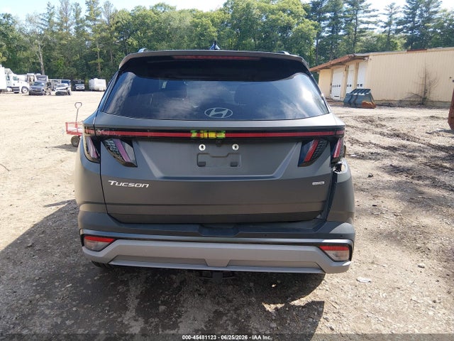 Продажа на аукционе авто 2025 Hyundai Tucson Limited, vin: 5NMJECDE2SH575295, номер лота: 45481123