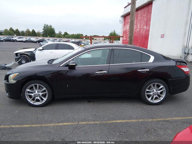 Продажа на аукционе авто 2010 Nissan Maxima 3.5 Sv, vin: 1N4AA5AP9AC862228, номер лота: 45482285