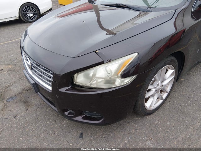 Продажа на аукционе авто 2010 Nissan Maxima 3.5 Sv, vin: 1N4AA5AP9AC862228, номер лота: 45482285