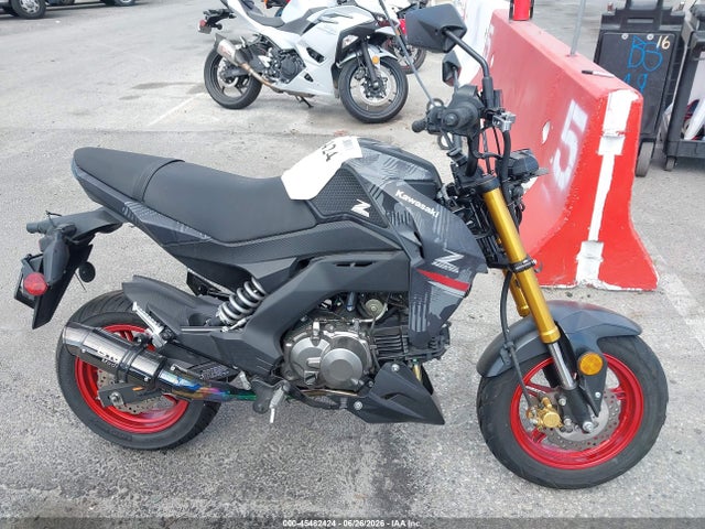 Kawasaki Br125 J 2024 JKABRRJ17RDA32487 Image 11