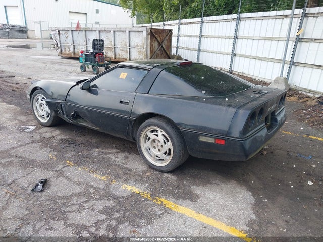 Auction sale of the 1990 Chevrolet Corvette, vin: 1G1YY2385L5119042, lot number: 45482862
