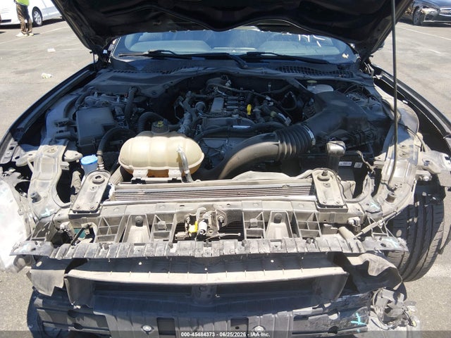 1FATP8UH3M5104262 Ford Mustang Ecoboost /ecoboost Premium