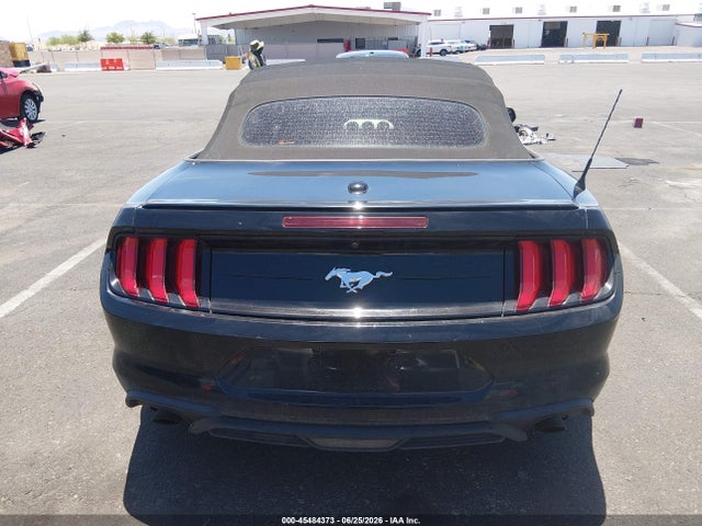 1FATP8UH3M5104262 Ford Mustang Ecoboost /ecoboost Premium
