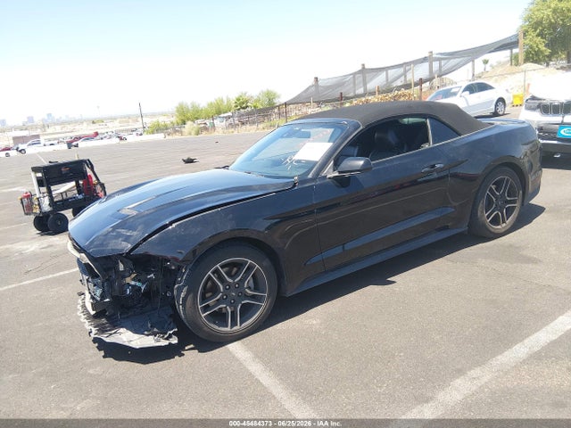 1FATP8UH3M5104262 Ford Mustang Ecoboost /ecoboost Premium