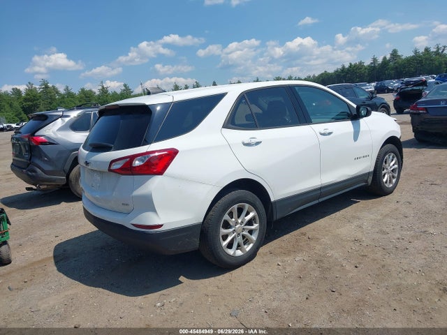 Chevrolet EQUINOX LS 2019 2GNAXSEV8K6267579 Image 4