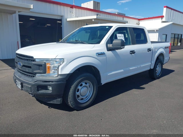 Ford F-150 Xl/xlt 2020 1FTEW1EB2LKE13390 Image 2