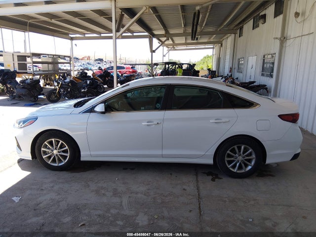 5NPE24AA4KH802295 Hyundai SONATA ECO