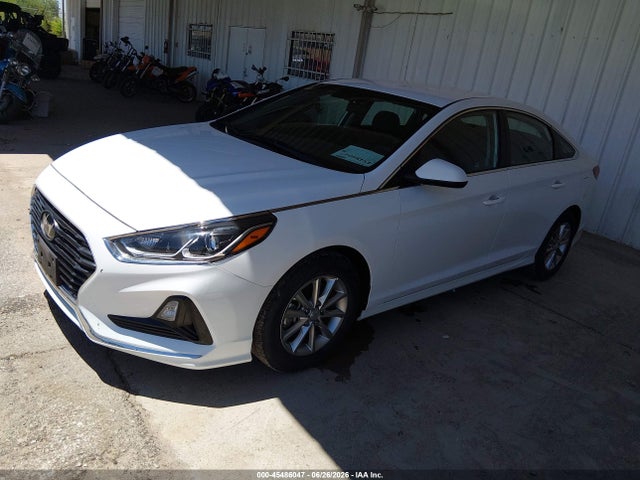5NPE24AA4KH802295 Hyundai SONATA ECO