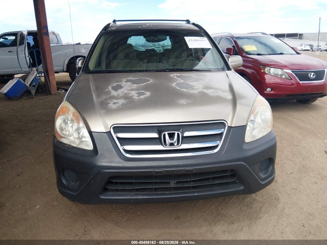 Auction sale of the 2005 Honda Cr-v Ex, vin: JHLRD78865C026870, lot number: 45486163