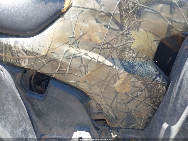 Продажа на аукционе авто 2019 Honda Trx420 Fe, vin: 1HFTE49C3K4500321, номер лота: 45486795