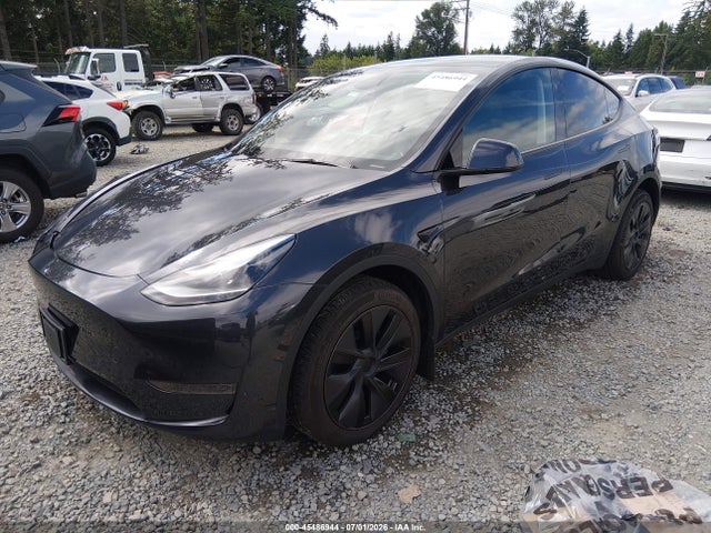 Продажа на аукционе авто 2025 Tesla Model Y Long Range Dual Motor Rear-wheel Drive, vin: 7SAYGDED0SF313297, номер лота: 45486944