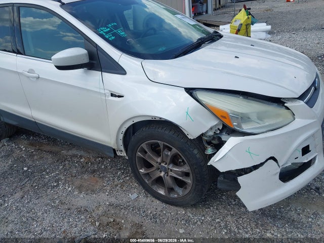 Ford ESCAPE SE 2016 1FMCU0GX7GUB65952 Image 12