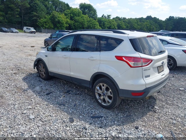 Ford ESCAPE SE 2016 1FMCU0GX7GUB65952 Image 3