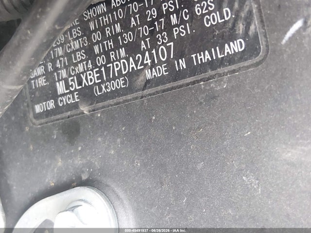 Kawasaki Klx300 E 2023 ML5LXBE17PDA24107 Image 10
