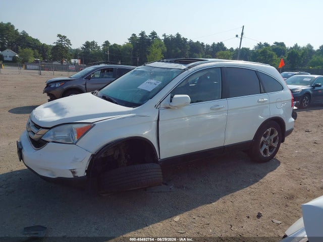 45492754 :رقم المزاد ، 5J6RE4H72AL029902 vin ، 2010 Honda Cr-v Ex-l مزاد بيع