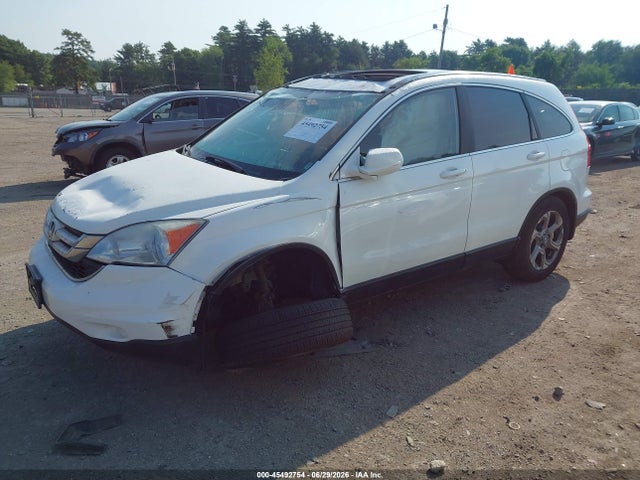 45492754 :رقم المزاد ، 5J6RE4H72AL029902 vin ، 2010 Honda Cr-v Ex-l مزاد بيع