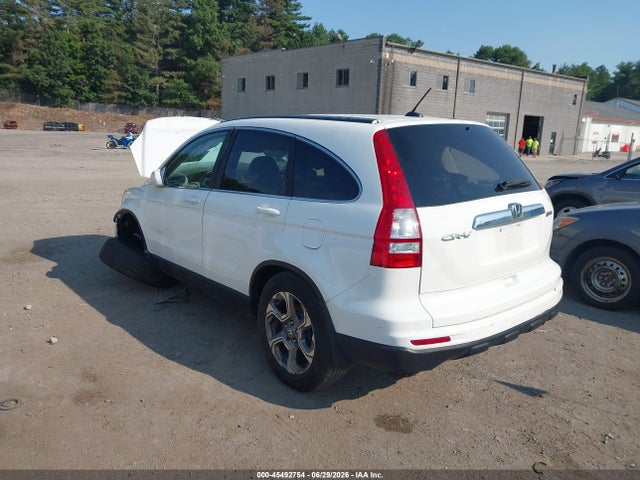 45492754 :رقم المزاد ، 5J6RE4H72AL029902 vin ، 2010 Honda Cr-v Ex-l مزاد بيع