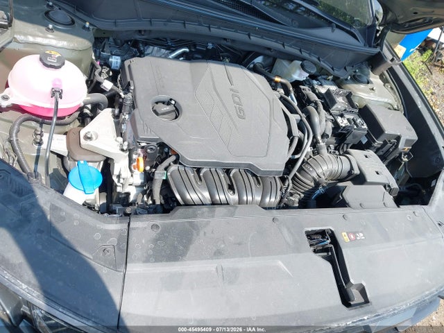 Aukcja sprzedaży 2026 Hyundai Tucson Sel Premium, vin: 5NMJCCDE3TH695212, numer aukcji: 45495409