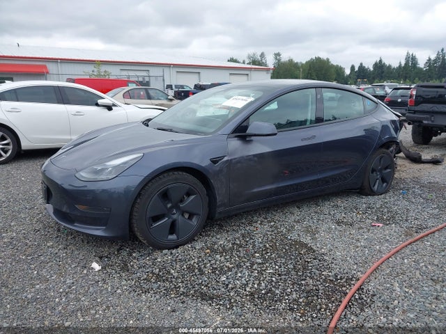 Tesla Model 3 Rear-wheel Drive 2023 5YJ3E1EA7PF581160 Image 2