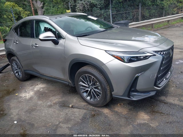 45503916 :رقم المزاد ، 2T2GDCAZ2SC024046 vin ، 2025 Lexus Nx 250 Premium مزاد بيع