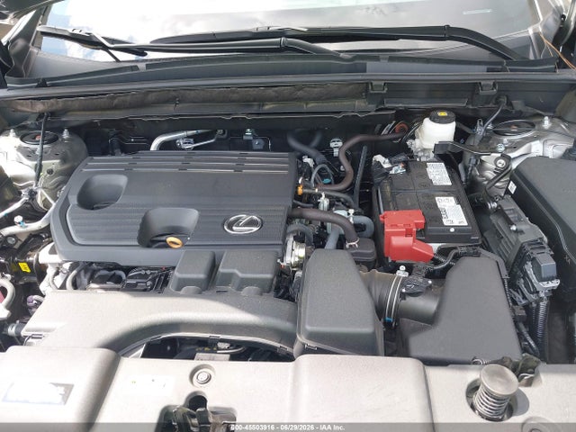 2025 Lexus Nx 250 Premium მანქანა იყიდება აუქციონზე, vin: 2T2GDCAZ2SC024046, აუქციონის ნომერი: 45503916