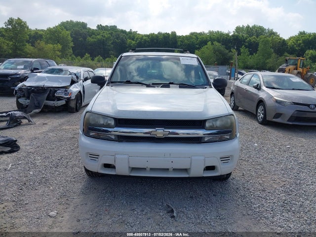 2004 Chevrolet Trailblazer Ls მანქანა იყიდება აუქციონზე, vin: 1GNDS13S542301007, აუქციონის ნომერი: 45507913
