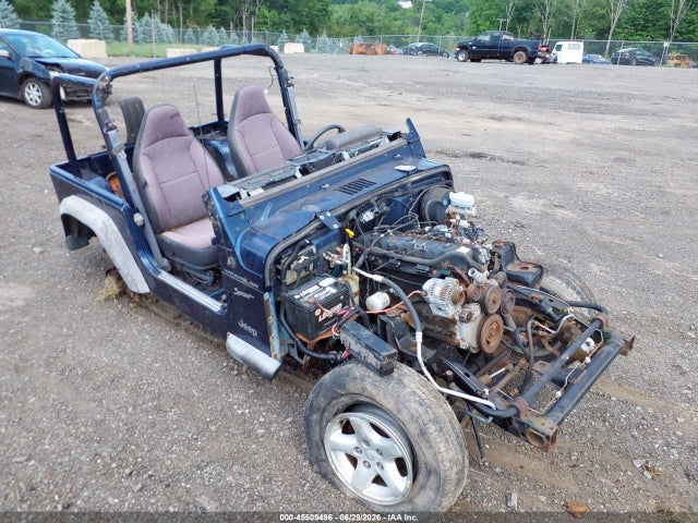 2002 Jeep Wrangler Sport მანქანა იყიდება აუქციონზე, vin: 1J4FA49SX2P704181, აუქციონის ნომერი: 45509496