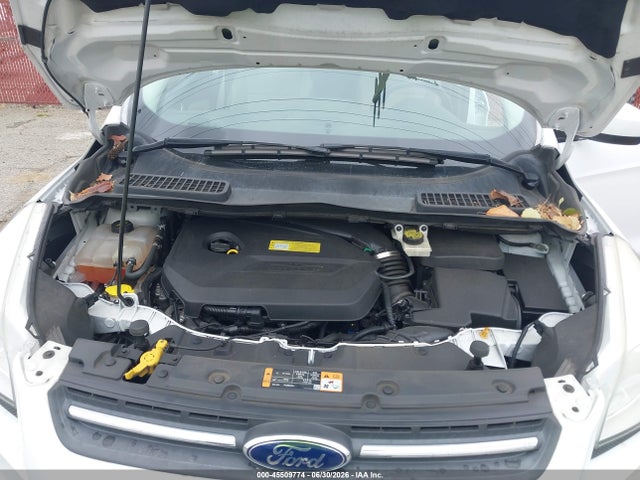 Ford ESCAPE SE 2014 1FMCU0GX1EUA77508 Image 10