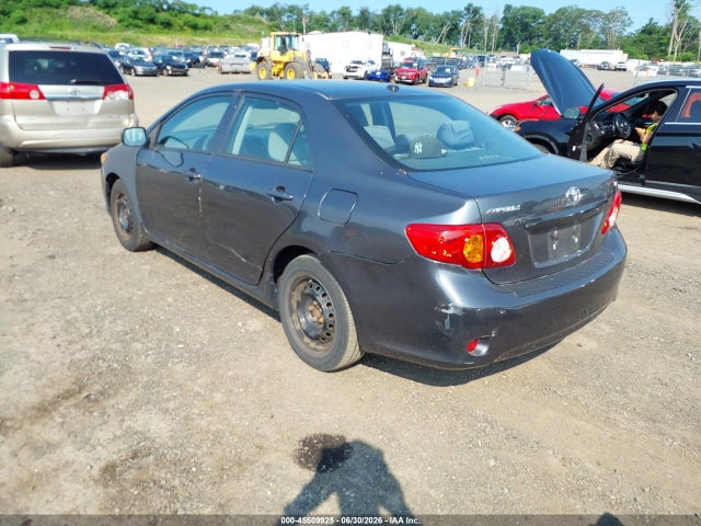 45509925 :رقم المزاد ، 2T1BU4EE4AC421025 vin ، 2010 Toyota Corolla Le مزاد بيع