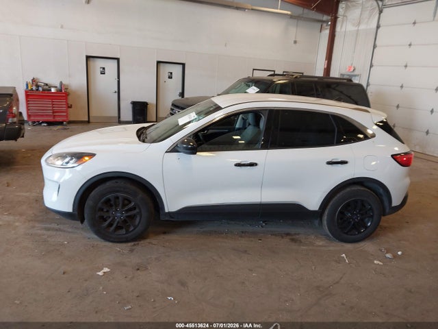 2020 Ford Escape Se მანქანა იყიდება აუქციონზე, vin: 1FMCU9G69LUC38731, აუქციონის ნომერი: 45513624