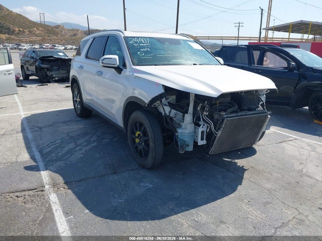 Hyundai Palisade Sel 2020 KM8R34HE7LU128251 главное изображение