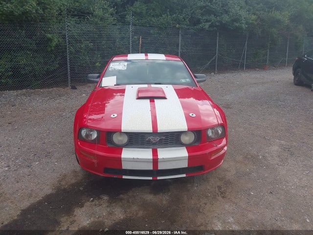 Продаж на аукціоні авто 2007 Ford Mustang Gt Deluxe/gt Premium, vin: 1ZVFT82H775233516, номер лоту: 45516529