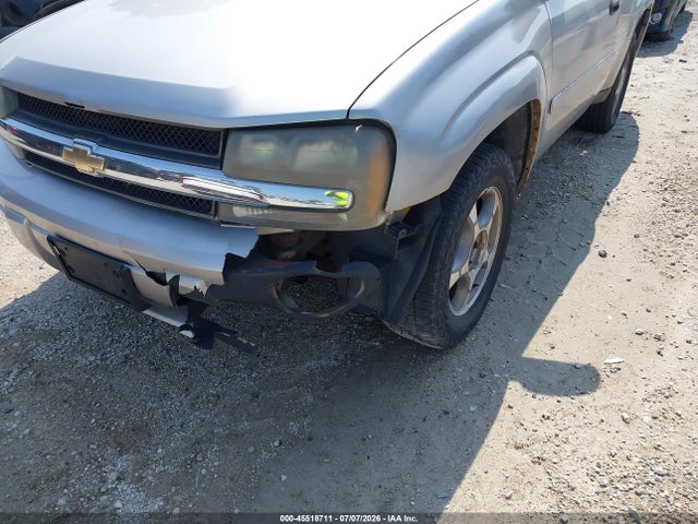 Auction sale of the 2008 Chevrolet Trailblazer Fleet, vin: 1GNDS13S382250841, lot number: 45518711