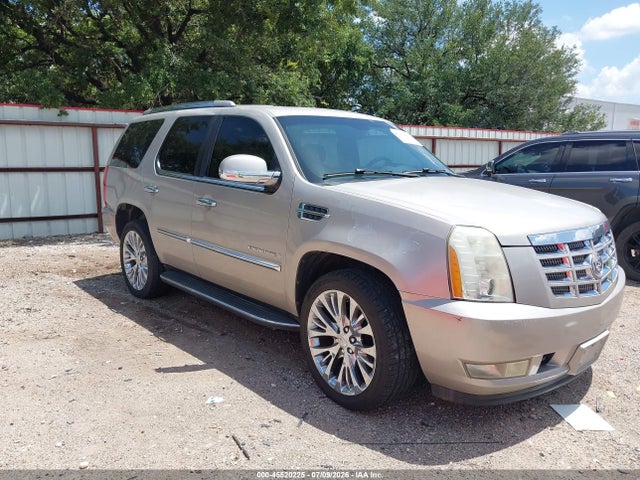 45520225 :رقم المزاد ، 1GYFK13259R105126 vin ، 2009 Cadillac Escalade Standard مزاد بيع
