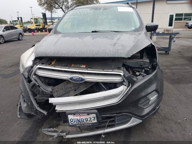 Ford ESCAPE SEL 2019 1FMCU0HDXKUA20269 Image 12