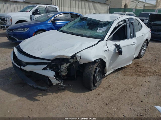 4T1C31AK9LU525819 Toyota Camry Le Hybrid