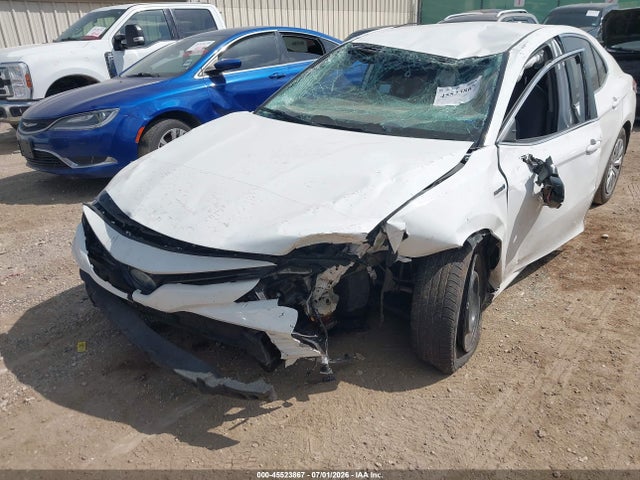 4T1C31AK9LU525819 Toyota Camry Le Hybrid